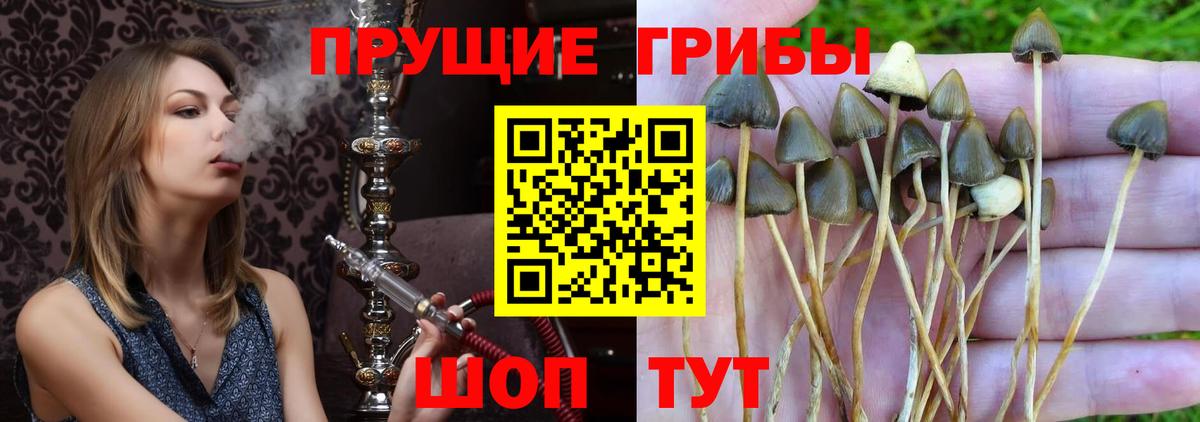 магазин продажи наркотиков  Псилоцибиновые грибы мицелий  Вход с VPN  Соликамск 